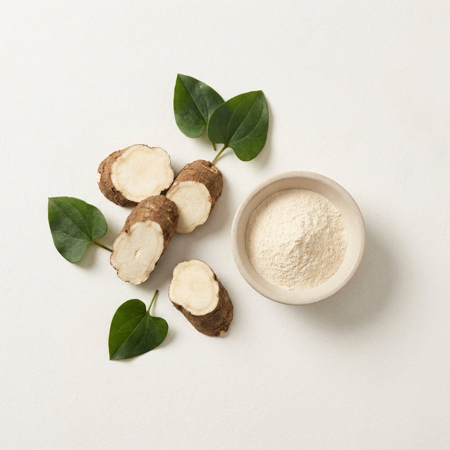 Smilax Glabra