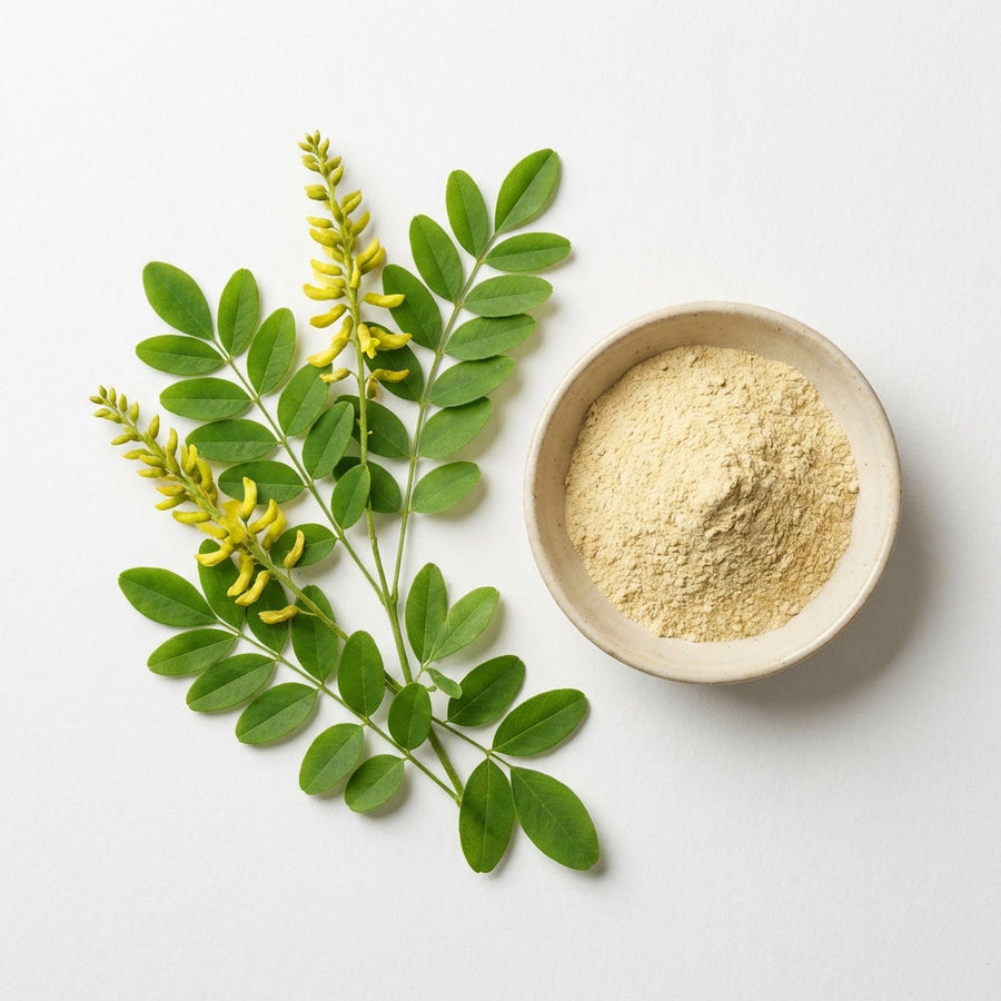Sophora Flavescens